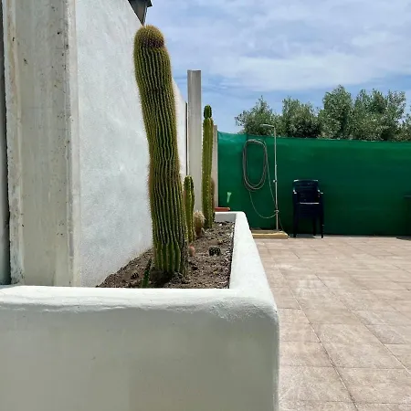 Oasis Pool In The Desert Bbq And Garden Holiday home