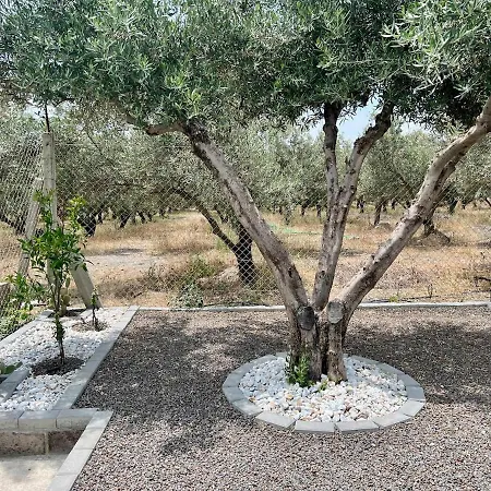 Holiday home Oasis Pool In The Desert Bbq And Garden *