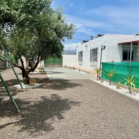 Oasis Pool In The Desert Bbq And Garden
