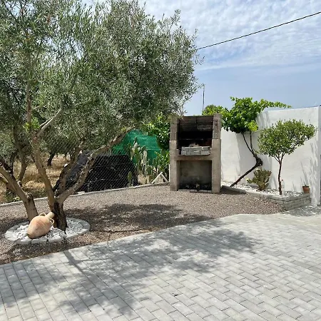 Oasis Pool In The Desert Bbq And Garden